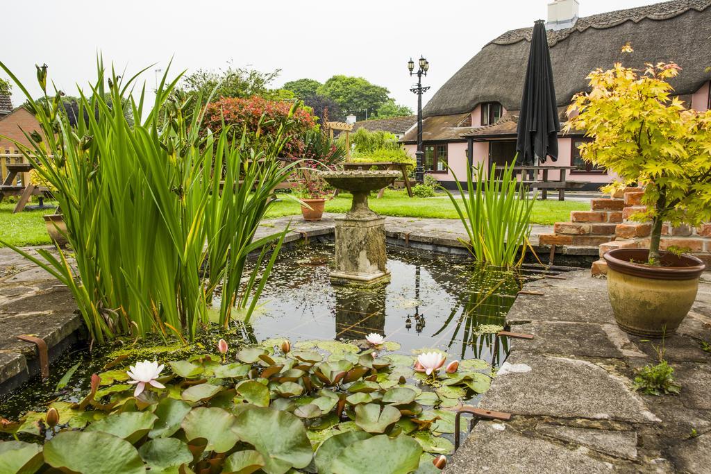 The Anvil Inn Blandford Forum Zewnętrze zdjęcie